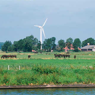 windmill and horses on green field