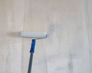 primer being applied to wall with a roller