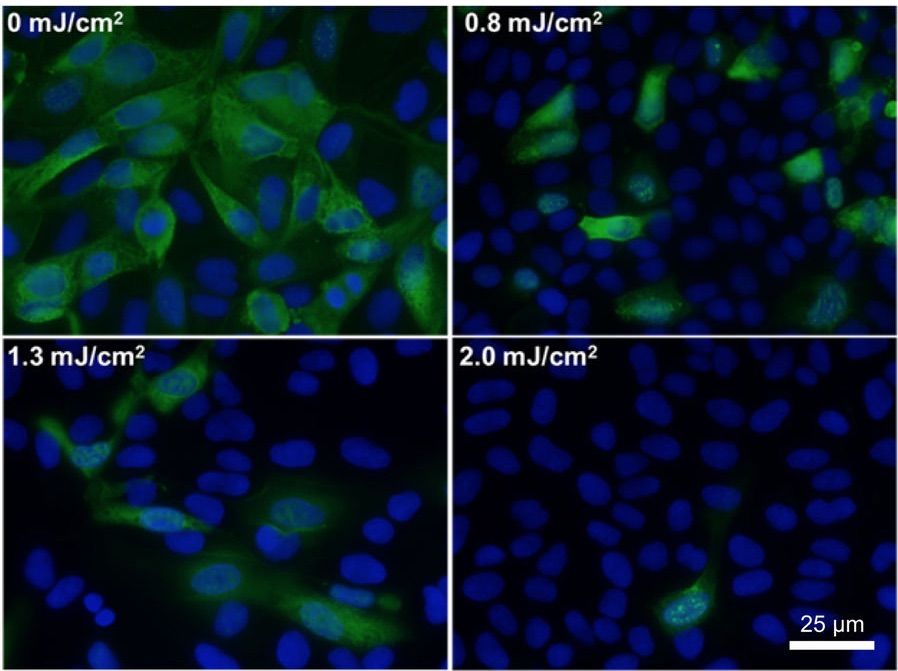 flu virus, far-uvc light