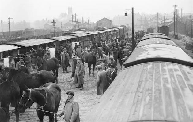 horses-at-station-1914-27.jpg