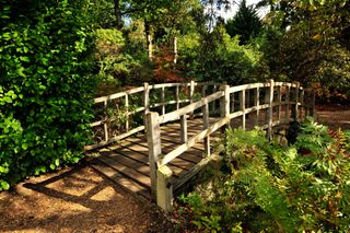 Exbury Gardens, Hampshire. Credit: Alamy