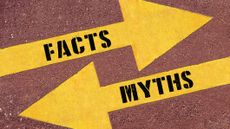 FACTS or MYTHS , words on Two arrows. Two Yellow Arrows Painted on Asphalt showing different directions