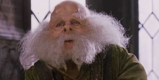 Warwick Davis as Professor Flitwick