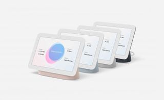 Image showing the different versions of the Google nest hub
