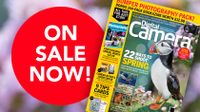 Front cover of issue 306 (Spring 2026) of Digital Camera World magazine and a red blob that reads 'On sale now!'