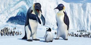 Memphis, Mumble, and Norma Jean in Happy Feet