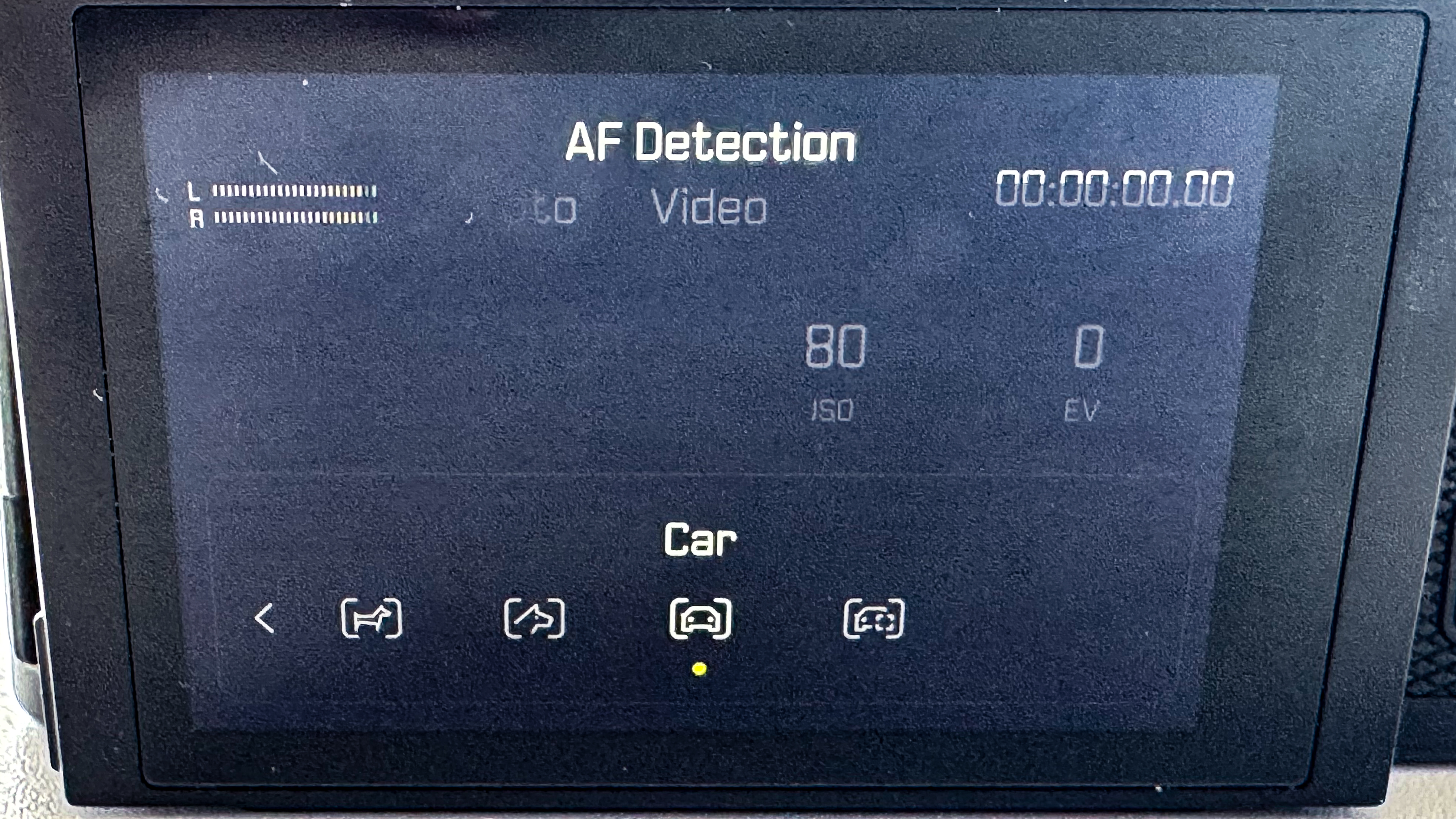 Leica SL3-P menu screen showing AF Detection options