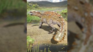 Stegouros elengassen depicted in its paleoenvironment, with plants reconstructed from fossils at nearby levels, typical of this region of Gondwana.