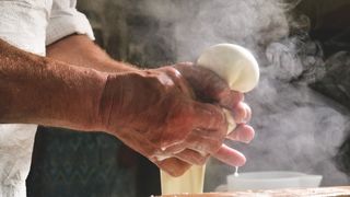 A homemade cheese producer, produces handmade mozzarella