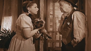 Toto held by Dorothy in The Wizard of Oz.