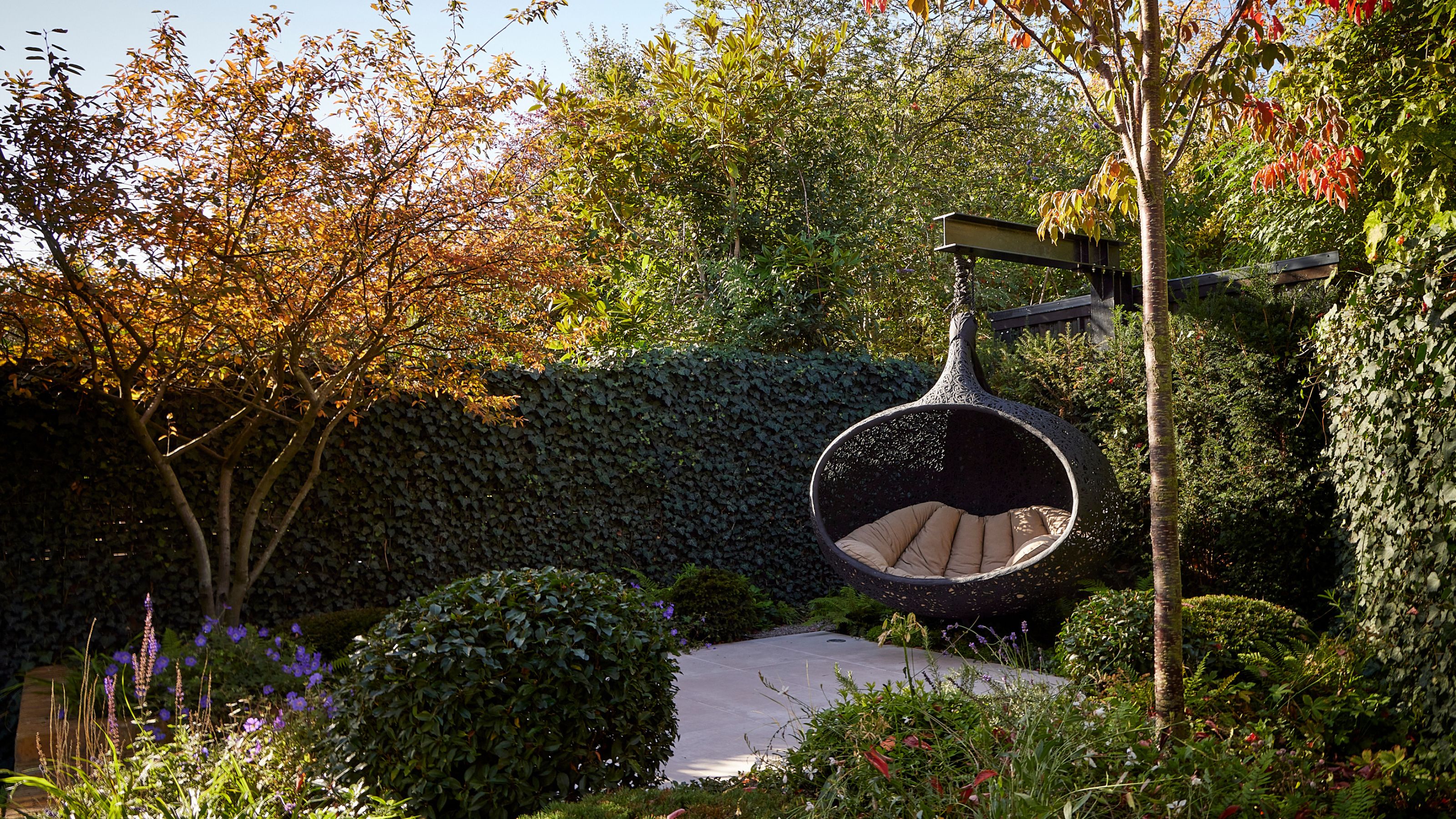 A corner of a modern garden with lots of hedges and flower beds, and a patio area with a black hanging egg chair with beige cushions inside. 