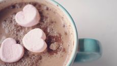 starbucks toasted marshmallow hot chocolate 143565445