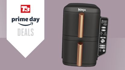 The Ninja Double Stack XL air fryer