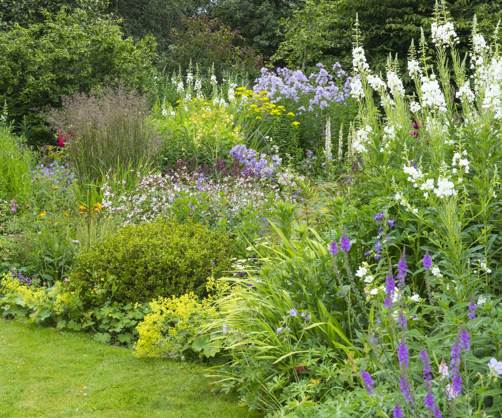 Triangular shaped garden ideas: 9 ways to redesign your plot | Homes ...