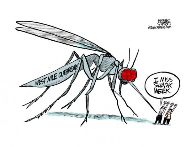 Mosquito month