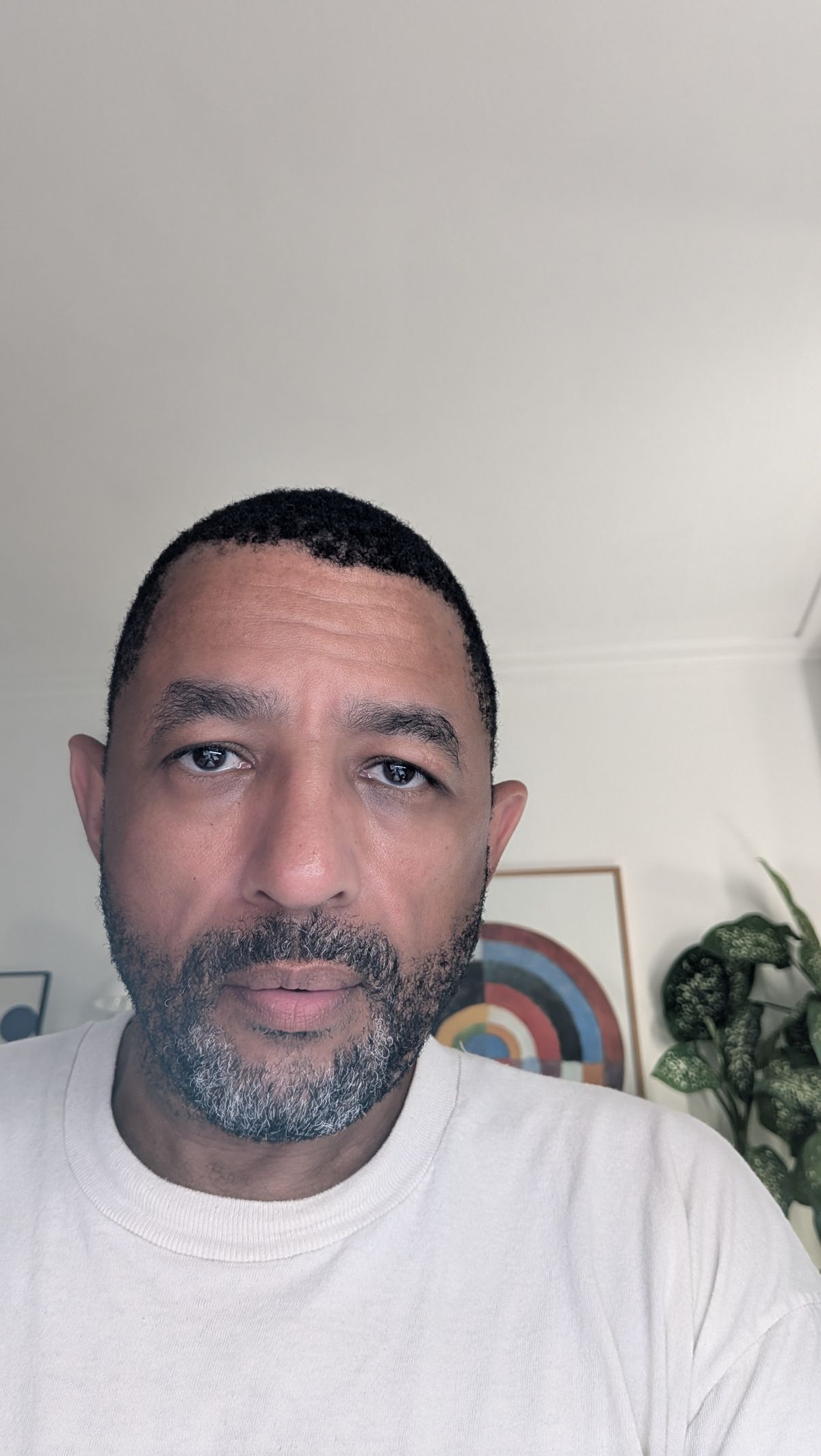 Google Pixel 9 Pro Fold Selfie
