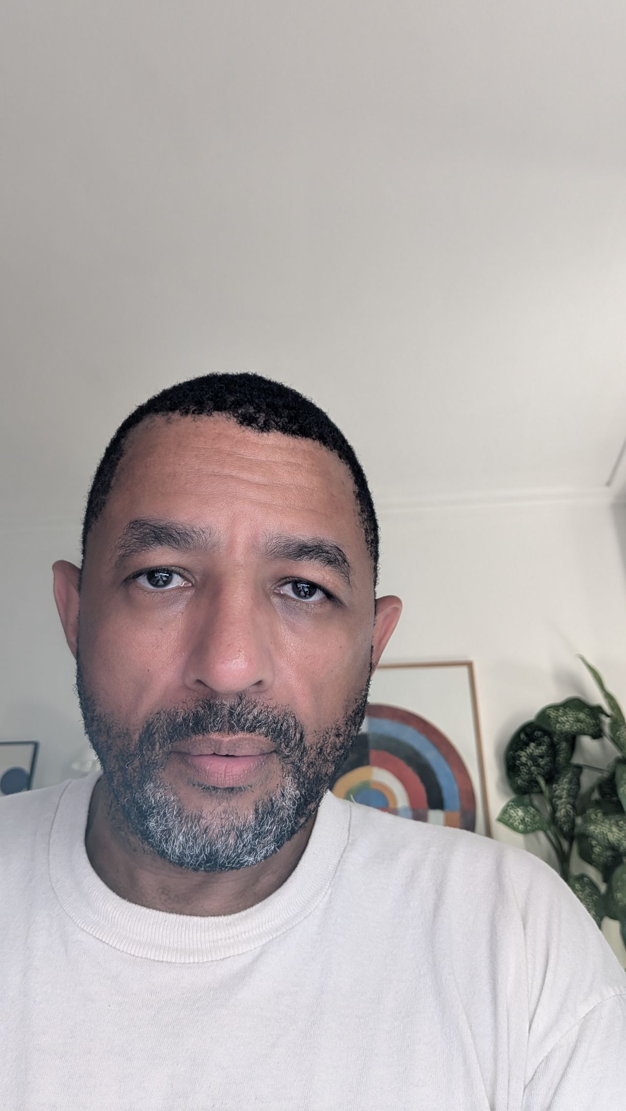 Google Pixel 9 Pro Fold Selfie