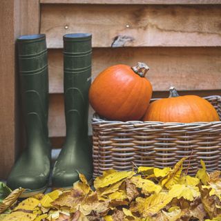 Two orange pumpkins in wicker basket next to green wellington boots behind pile of yellow autumn leaves