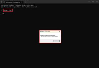 Command Prompt check activation