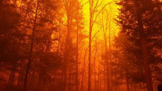Great Smoky Mountain National Park closed after a wildfire turned into a quickly spreading inferno Monday night (Nov. 28, 2016).