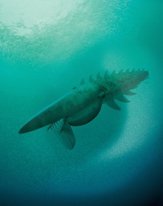 anomalocaridid illustration