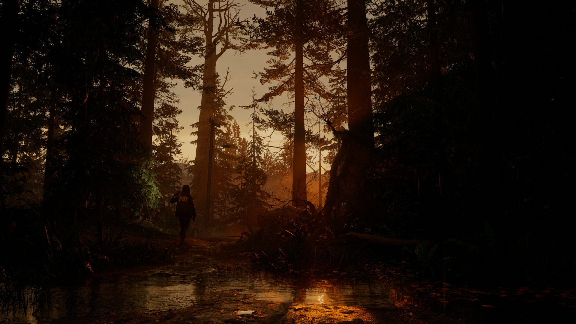 A forest in Alan Wake 2, with an FBI agent walking through it as the sun sets