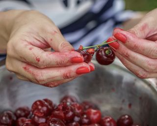 Woman removing seeds from cherries