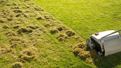 scarifying a lawn with a machine
