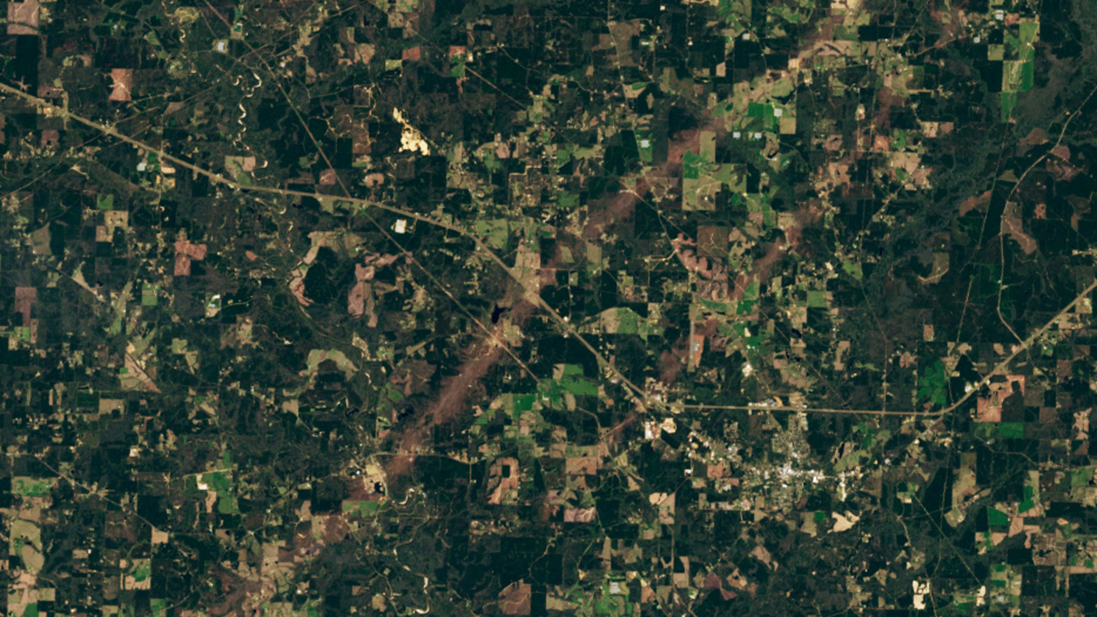 A satellite photo of Mississippi showing two parallel tornado tracks carved through farmland