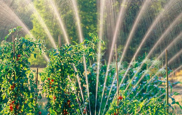 benefits of an irrigation system