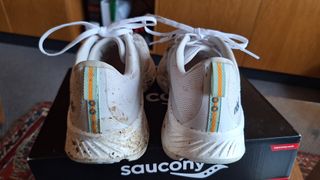 The back of the Saucony Ride 17, side by side on a box