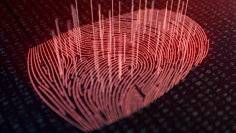 biometric data theft finger print