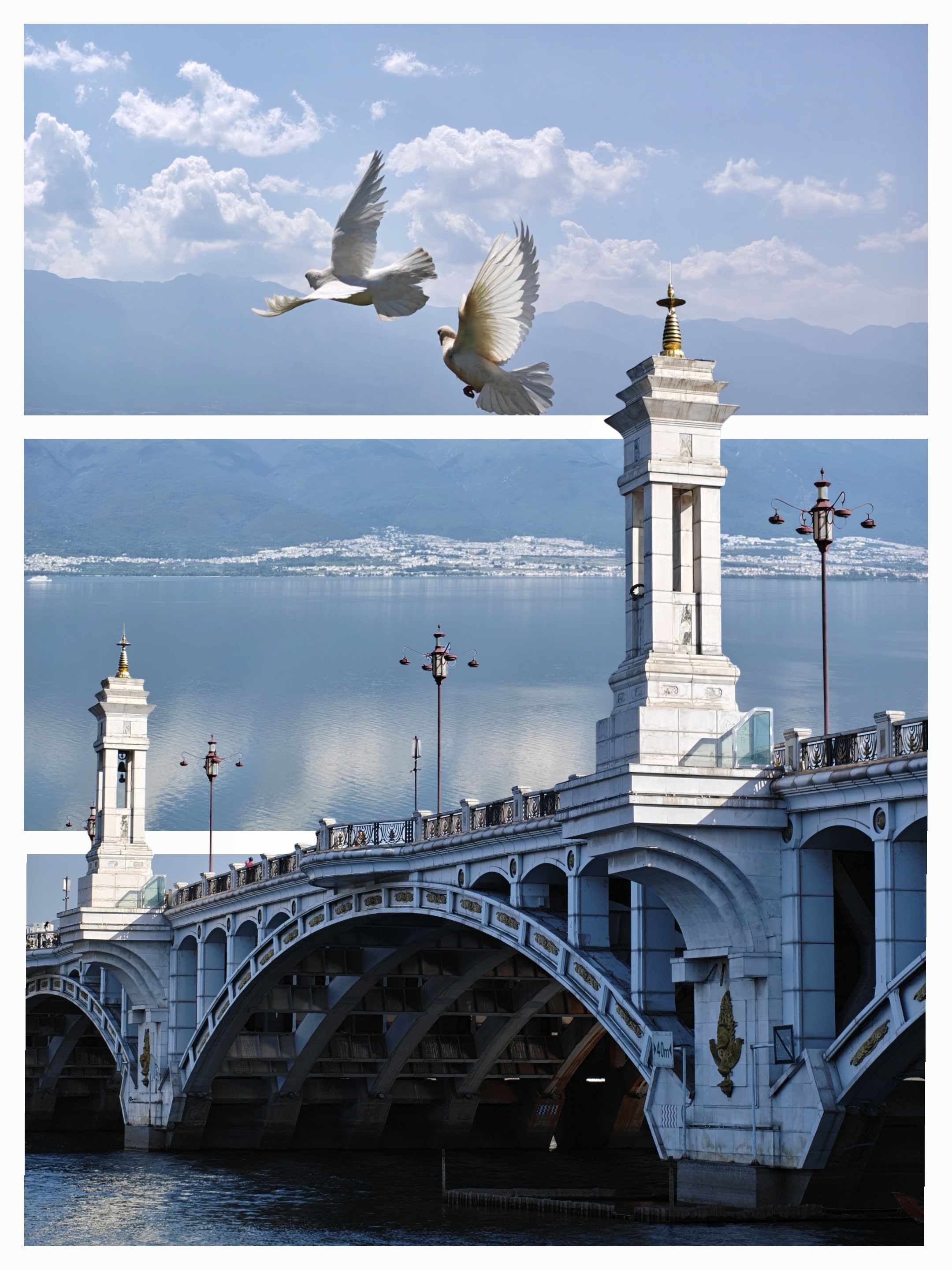 Oppo Reno16 series sample images