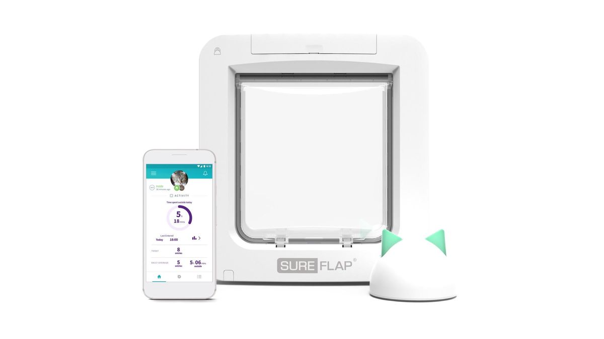 Best microchip cat flap 2023 for you and your kitty's home PetsRadar
