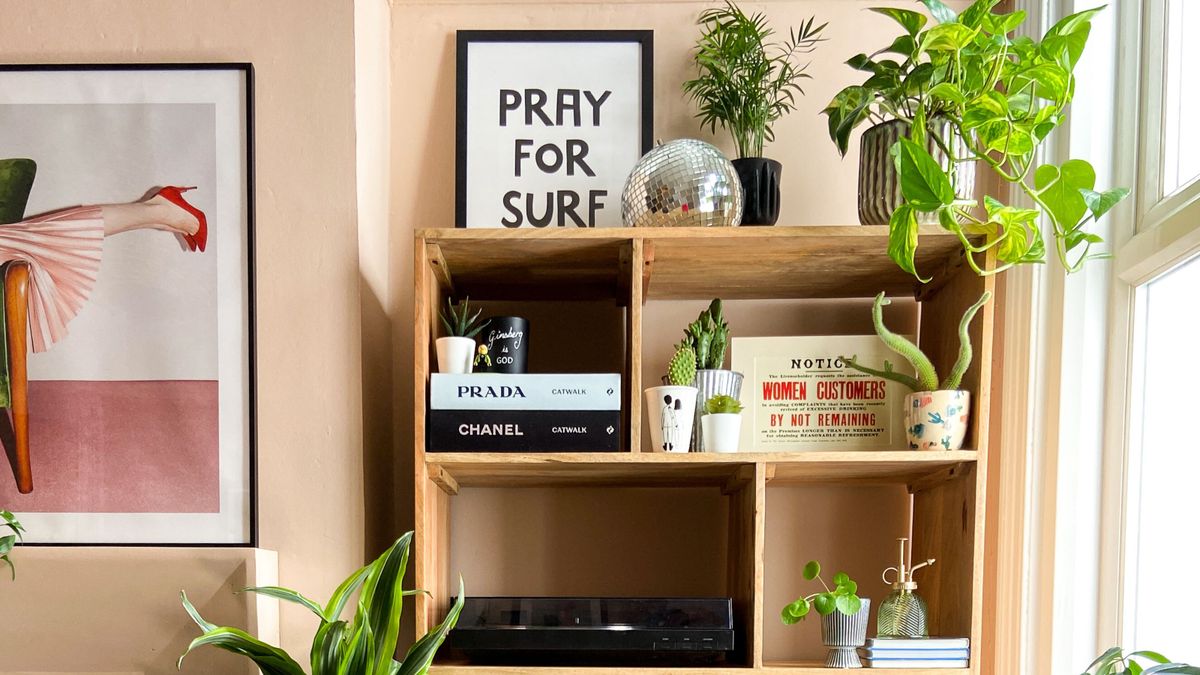 What is bookshelf wealth everything you need to know real homes