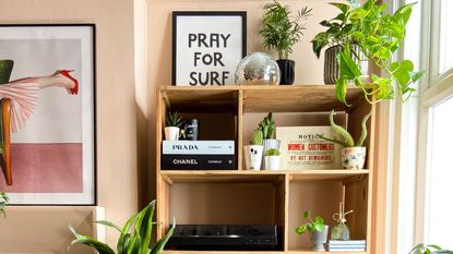 Bookshelf wealth is one of our favorite design trends. Here is a living room with a wooden bookshelf with books on it and plants