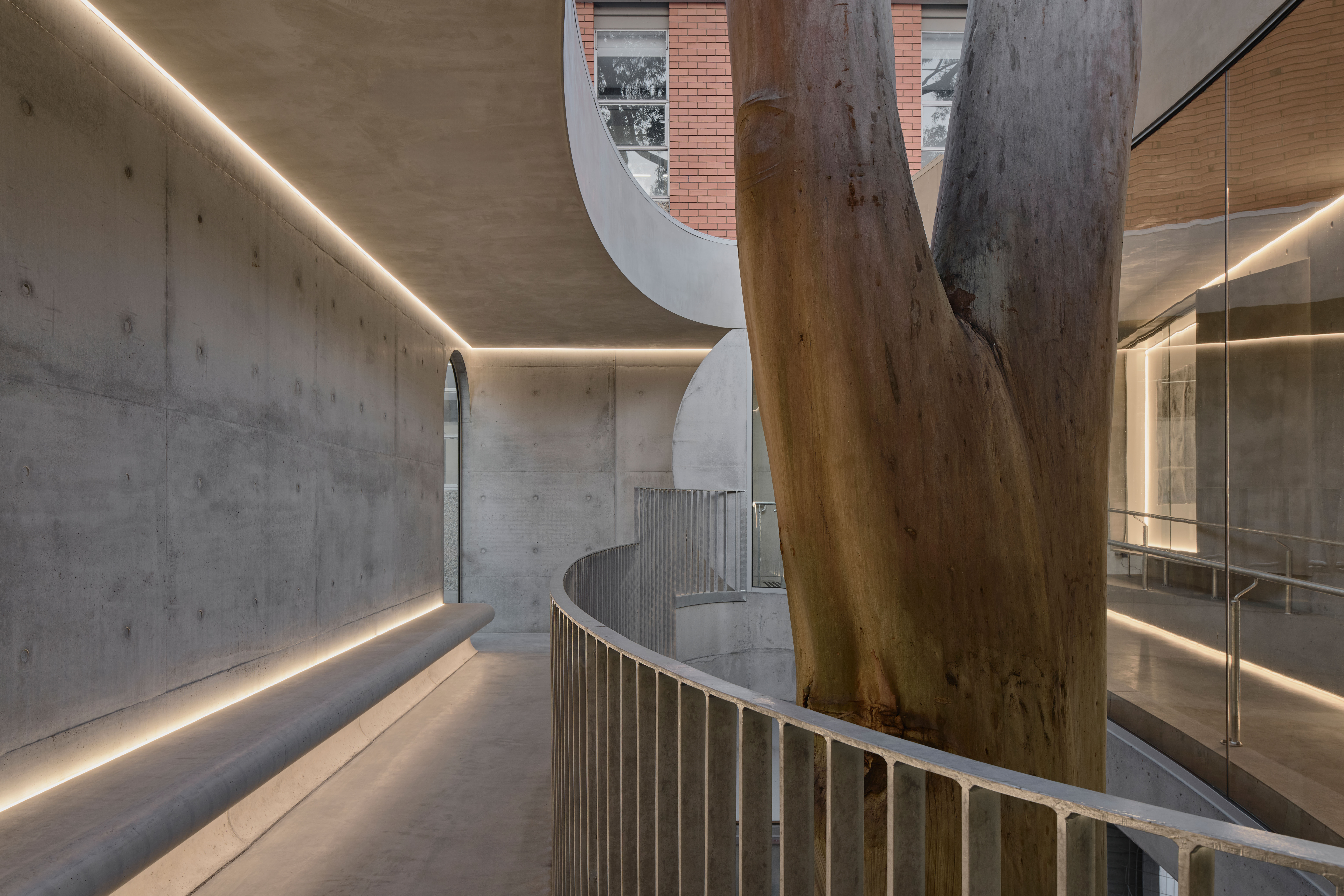 Gallery for a gum tree