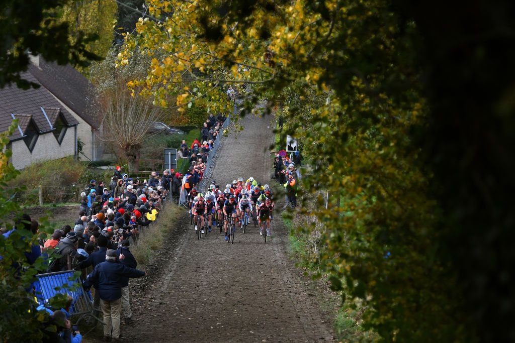 OUDENAARDE BELGIUM NOVEMBER 01 LR Laurens Sweeck of Belgium and Team Pauwels Sauzen Bingoal Lars Van Der Haar of The Netherlands and Team Baloise Trek Lions Lander Loockx of Belgium and Team DeschachtGroup HensContainers Maes Toon Vandebosch of Belgium and Team Pauwels Sauzen Bingoal and Toon Aerts of Belgium and Team Baloise Trek Lions lead The Peloton at start during the 32nd Koppenbergcross Grand Prix Jolien Verschueren 2021 Mens Elite Koppenbergcross Oudenaarde X2OBadkamersTrofee on November 01 2021 in Oudenaarde Belgium Photo by Luc ClaessenGetty Images