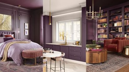 Glidden color of the year &#039;purple basil&#039; 2025