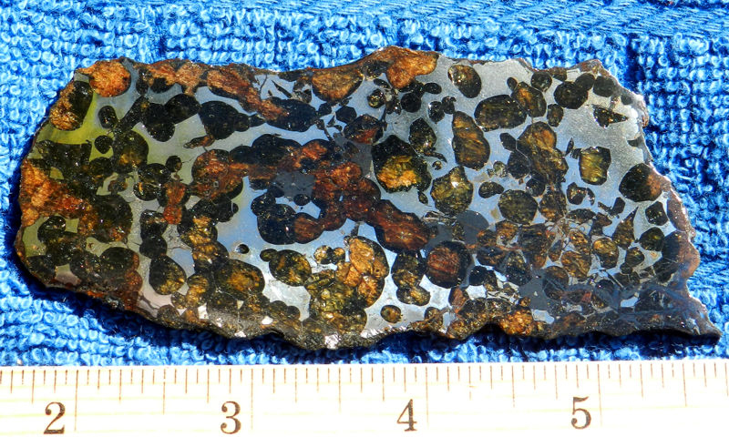 Light shines through the olivine crystals of the Conception Junction meteorite in the WUSTL geology museum. The crystals in this pallasite are smaller than usual, so the stone must be sliced very thin before the crystals penetrate its width and become translucent.