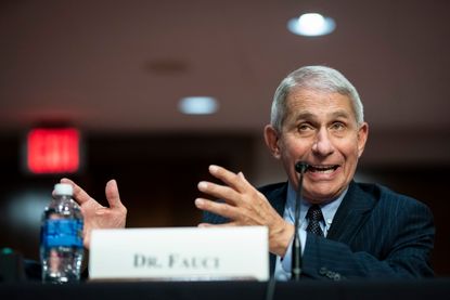 Anthony Fauci in Washington