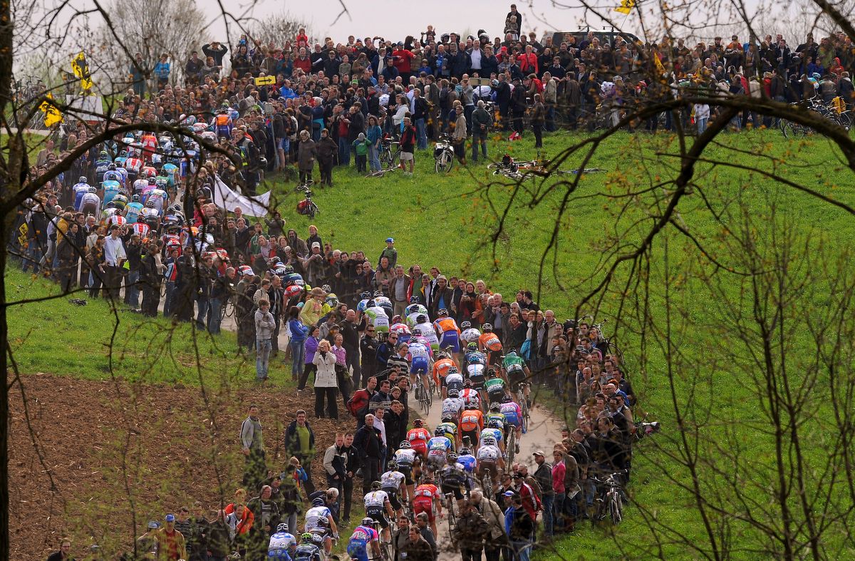 The peloton climbing the Rekelberg