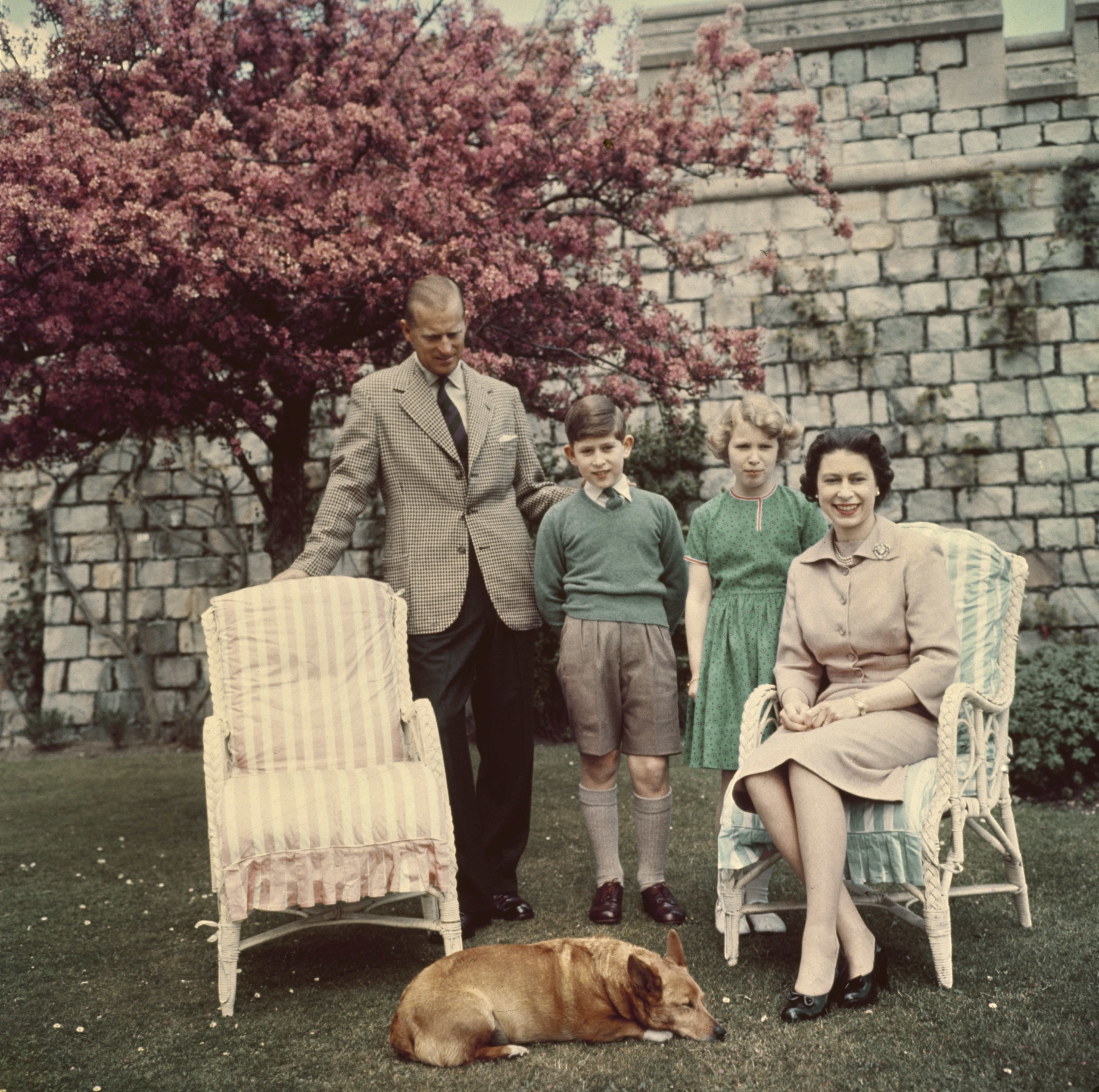 Queen Elizabeth, Prince Philip, Princess Anne and Prince Charles posing in front of a tree at Windsor Castle with a corgi