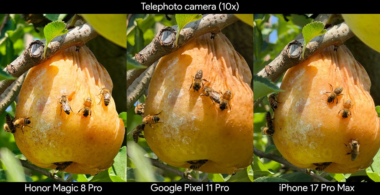 Comparing telephoto camera shots between the Google Pixel 11 Pro, iPhone 17 Pro Max, and Honor Magic 8 Pro