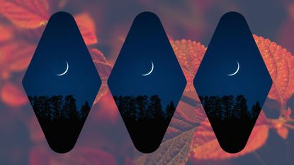 when is the next new moon feature image; three crescent moons on an autumn leaves background