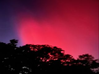 Dark red and blue lights over dark tree tops