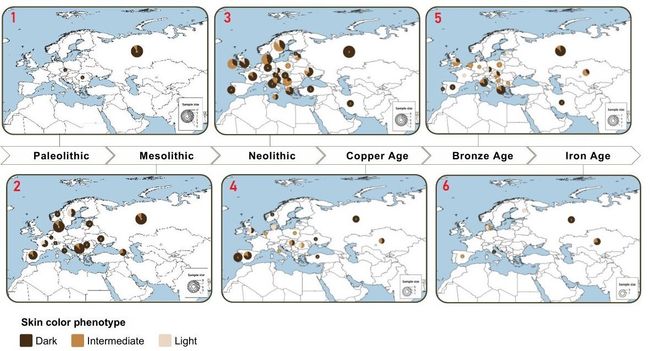 Most ancient Europeans had dark skin, eyes and hair up until 3,000 ...