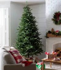 Habitat 8ft Mixed Tip Natural Upswept Christmas Tree - WAS £175 now £131.25 | Argos