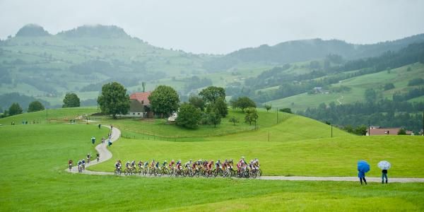 The elite men's race in action