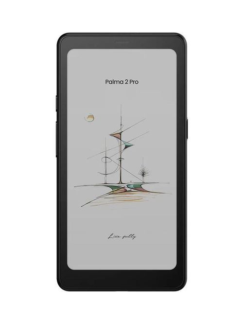 Palma 2 Pro